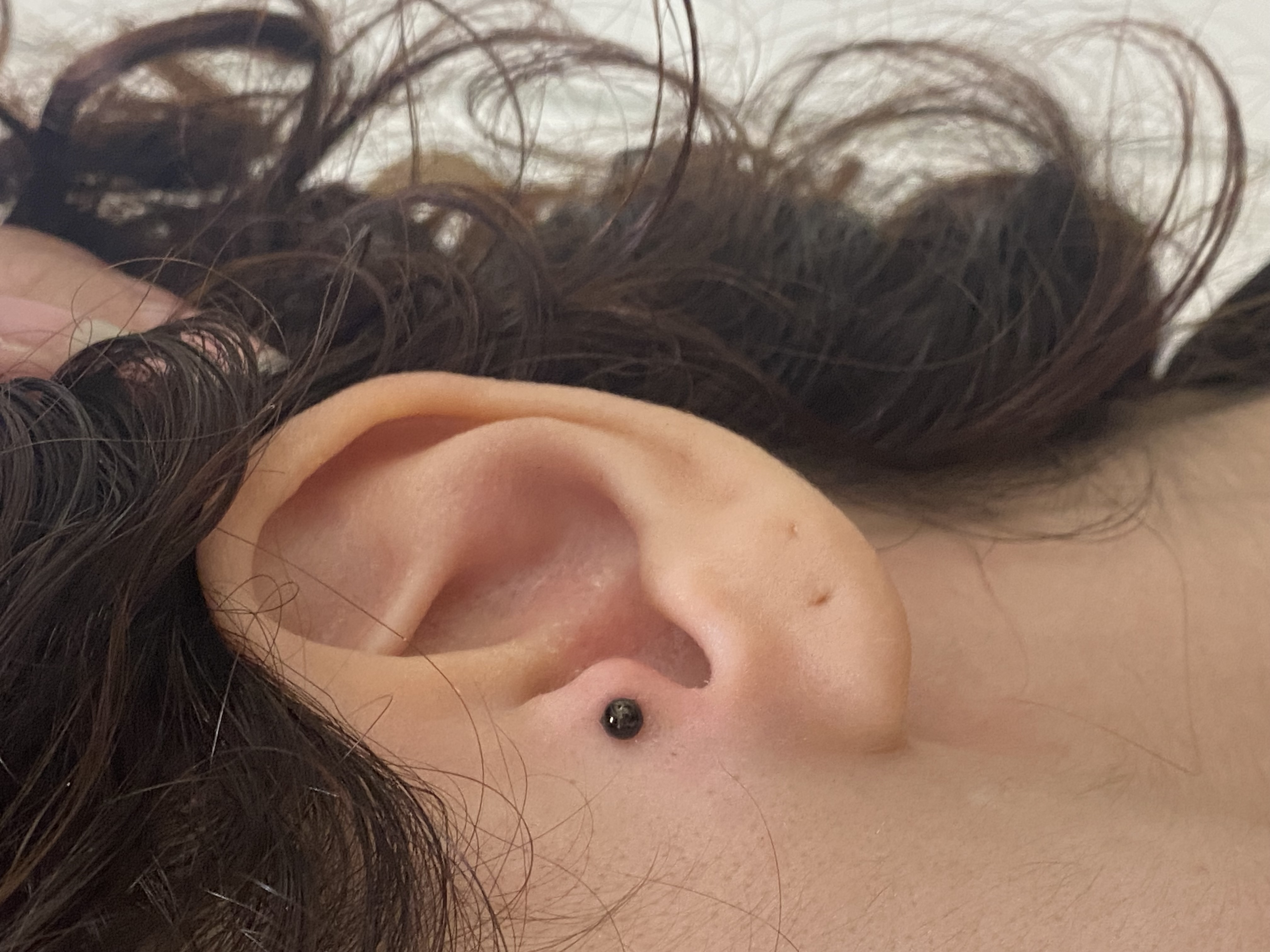 Black tragus piercing